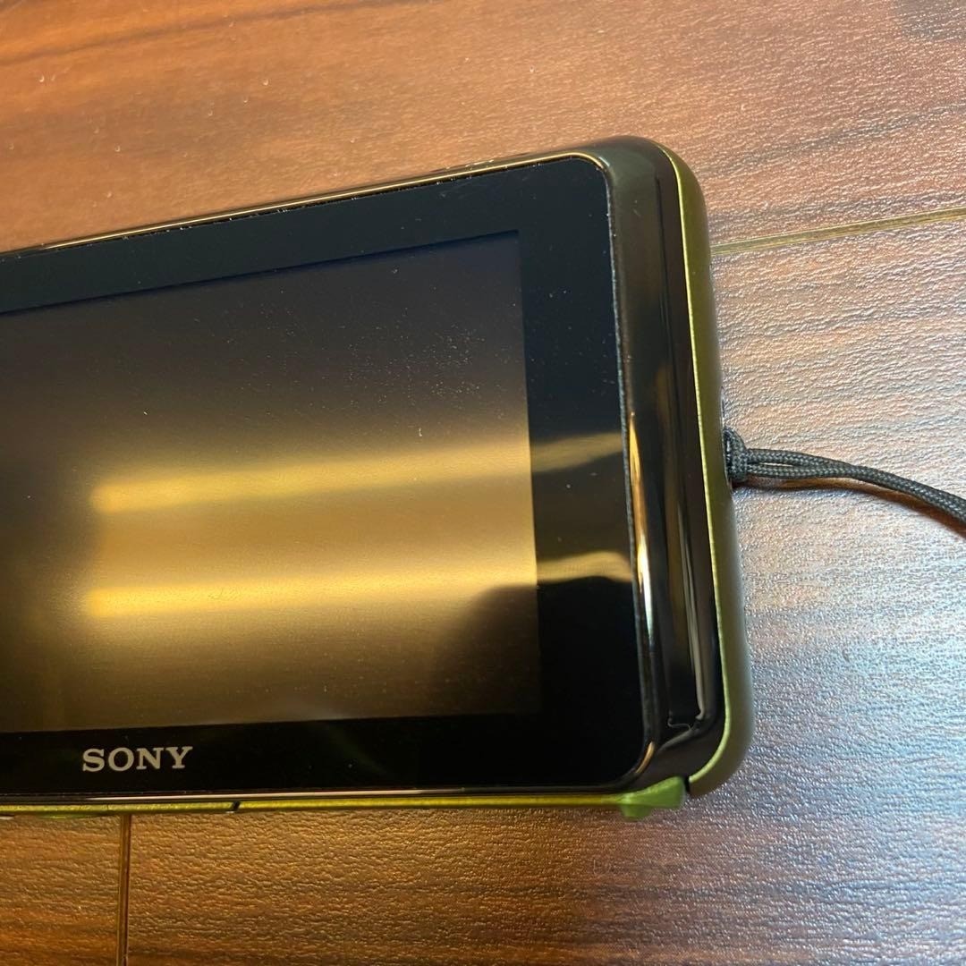 Sony Cyber-shot DSC-T77 10.1MP Digital Camera - Silver for sale