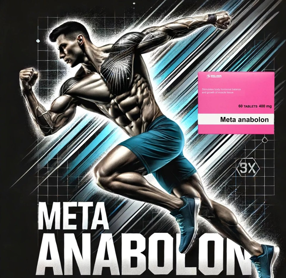 META ANABOLON - Booster Testostérone Naturel - 60 à 480 Comprimés - Libido & Masse Musculaire
