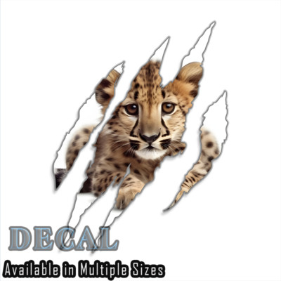 Claw Mark Leopard c Decal Sticker