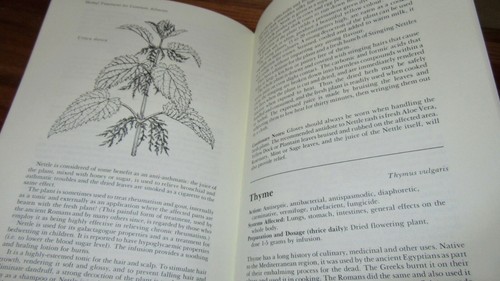 Herbal Treatments for Common Ailments ~ Gregory Ah Ket. SIGNED 1983 HbDj in MELB - Bild 10 von 11