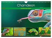 "Calendar 2027 · US Version · Chameleon - Exotic Reptile (Wall Calendar 2027 12\""
