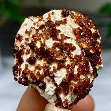 17G Natural Garnet with rock Gorgeous  raw Crystal Mineral Specimen