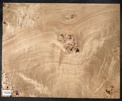 BiColor Maser Pappel | Poplar BURL | ca. 340 x 275 x 48 mm | #1639