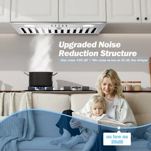 20 dans Range Hood Insert Acier inoxydable 600 CFM Hotte de cuisine intégrée LED