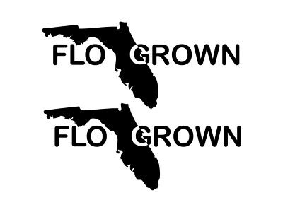 1 Pair Florida Flo-Grown FL Die Cut Full Color Corn Hole Board Stickers P974