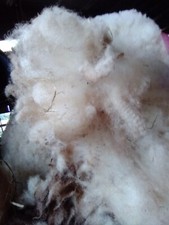 Portland unwashed raw sheep fleece wool spinning Weaving crafts 800g