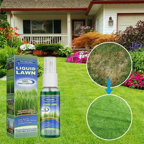 Instant Green Lawn Spray, Environment Protection & Pet Friendly, 30ml