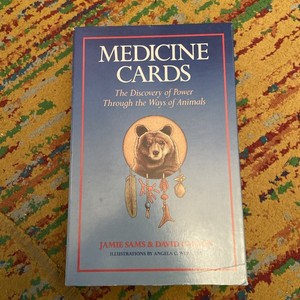 Medicine Cards Jamie Sams | eBay