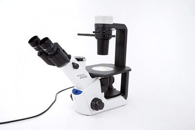 Olympus CKX53 Trino Inverted Phase Contrast Cell Culture Microscope 4 10 20 40x