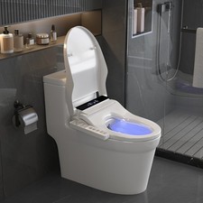 Electric Heated Bidet Toilet Seat, Adjustable Warm Water Wash  Warm Air Dryer