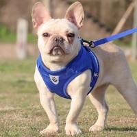 Eurowagens Hundegeschirr FüR SpaziergäNge Atmungsaktiv Reflektierend Schutz
