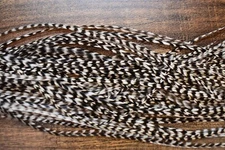 Full or Half Sized GRIZZLY Dry Fly Rooster Saddle Feathers Fly Tying,  U CHOOSE