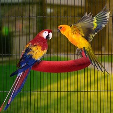 U Shape Parrot Perch Stand Toy for Paw Grinding Clean Stick Exercise