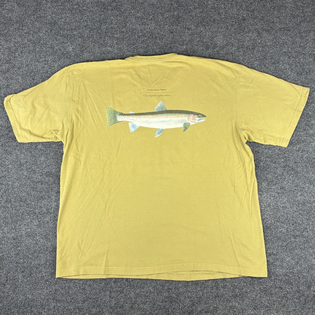 入手困難【Patagonia】Fish Native World Trout T Patagonia World Trout T Shirt Mens XL Green Steelhead Short Sleeve