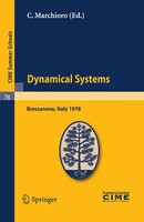 C. Marchioro | Dynamical Systems | Taschenbuch | Englisch (2012) | 312 S.