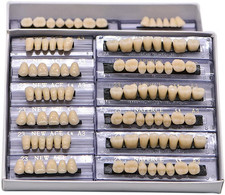 168-Piece Fake Teeth Set for Halloween - Vampire Fangs  Monster Decor, Tooth