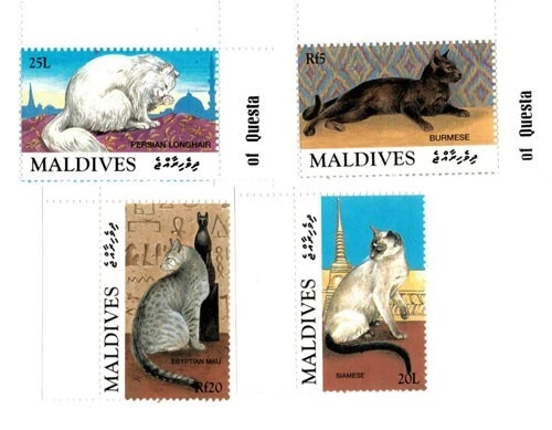 Maldives 1994 - Cats of the World - Set of 12 Stamps - Scott #1984-95 - MNH - Image 2 of 4