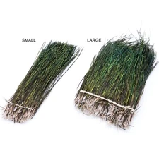 STRUNG PEACOCK HERL - Hareline Fly Tying Feathers 5-7 Inches Long NEW!