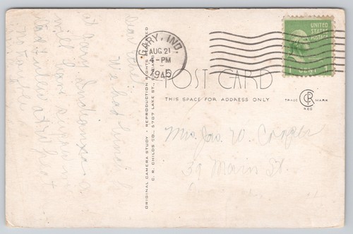 Postcard 1945 Indiana Lake Michigan The Lone Pine - Picture 2 of 3