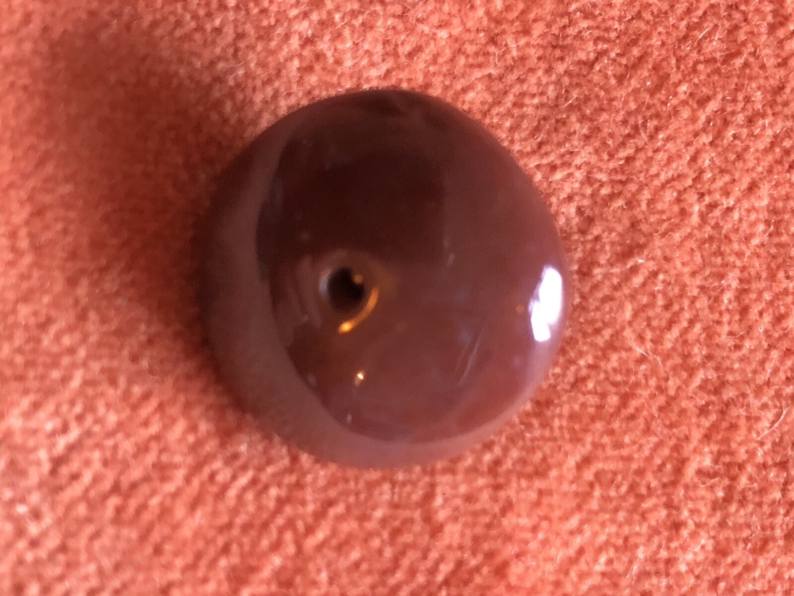 Picture 5 of 7
