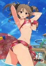 Senran Kagura Renka Silver Halide Bromide Trading Card 127x178mm Collectible