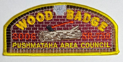 Boy Scout Pushmataha Area Council Wood Badge 2006 CSP *100 Made*