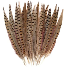 20pcs Male Pheasant Feather Natural Ringneck Tails Feathers 8-10inch 20-25cm