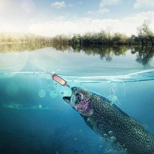 Night Light Fishing Rig Lure Flash Board 4.5-inch Salmon Fishing Doggers F l5T9 - Picture 6 of 22