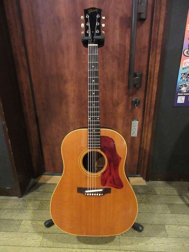 2004年製 Gibson J-50 Gibson J-50|ドルフィンギターズ