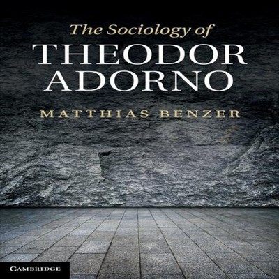 The Sociology of Theodor Adorno Matthias Benzer Hardcover Cambrid