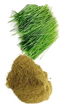 Eva Impex Arugampul Powder – Bermuda Grass (Doob Grass)