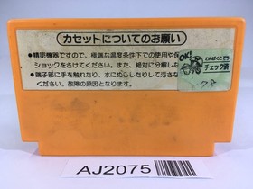 AJ2075 Clu Clu Land NES Famicom Japan
