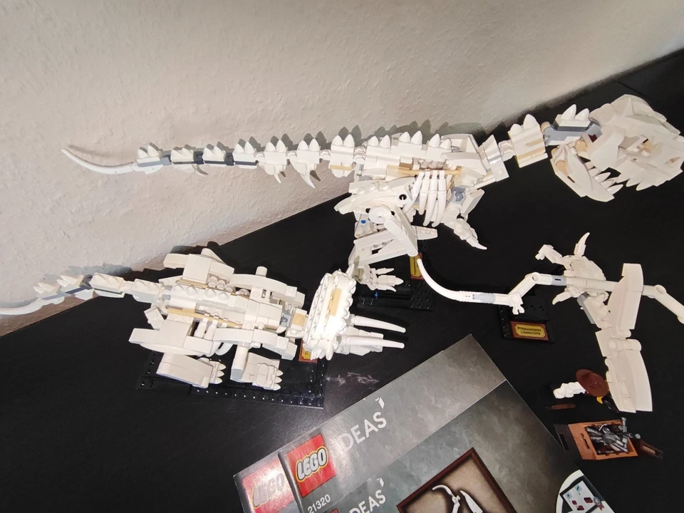 LEGO Ideas 21320 Dinosaur Fossils, Foto 3 von 5