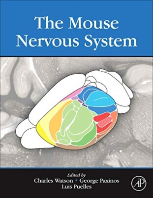 The Mouse Nervous System by Charles Watson Molecular Biology Large Hardcover