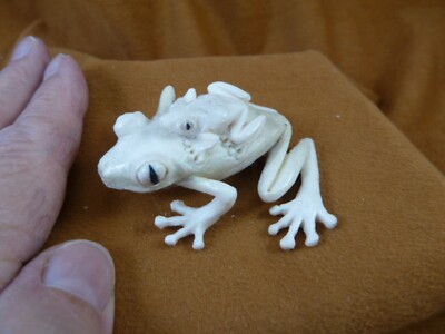 FROG-W33) Frog with baby shed ANTLER figurine Bali detailed amphibian love frogs