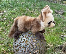 Löffelhund ° Löffelfuchs ° Wildhund ° Ku...