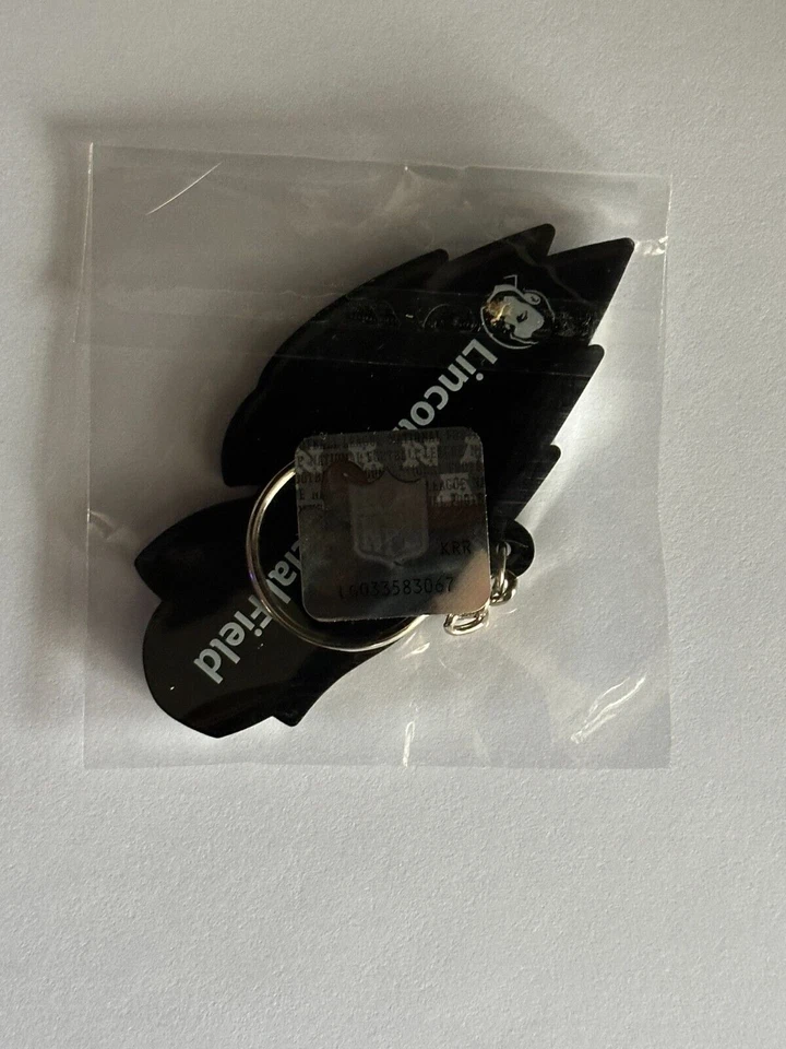 Philadelphia Eagles NFL Officially Licensed Rubber Keychain 3.5" - Image 4 of 4