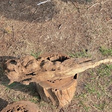 Natural Weathered Wood Piece for Woodworking and Craft Projects