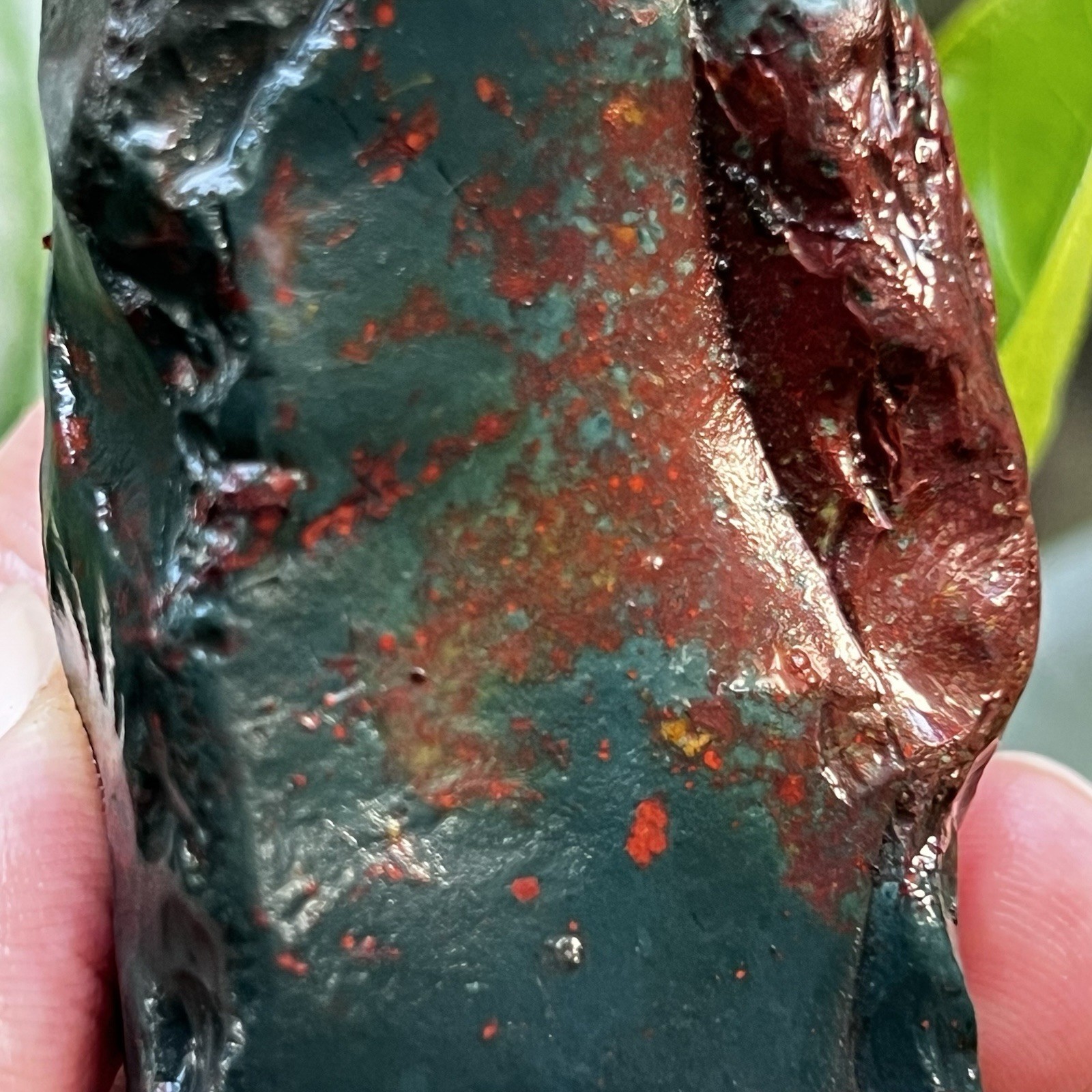 Picture 3 of 14