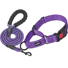 Haapaw 2 Packs Martingale Dog Collar With Quick Release Buckle Reflective Dog Tr