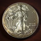 2011 TONED American Silver Eagle 1 oz Dollar Uncirculated BU Coin