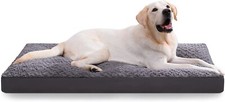 Dog Bed Velvet Soft Gray 35x22 Anti Slip Bottom open box NEW