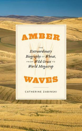 Amber Waves : The Extraordinary Biography of Wheat, from Wild Grass to World ...