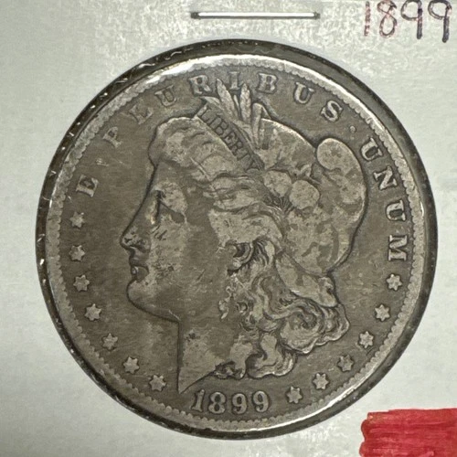 1899 $1 Morgan Silver Dollar Fine