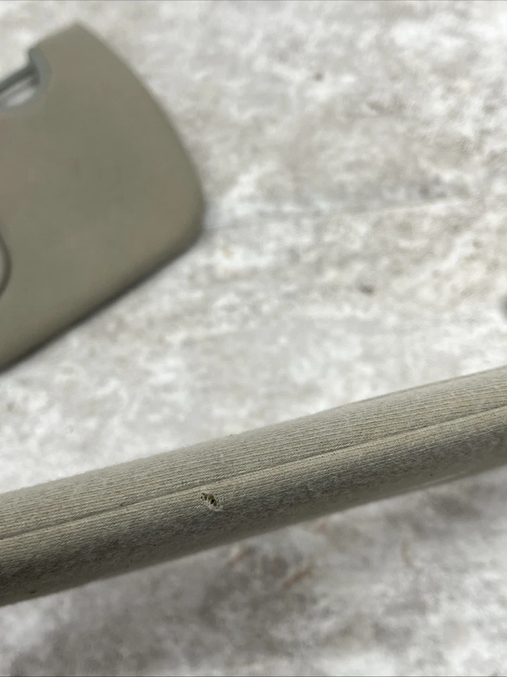 Dodge Grand Caravan Chrysler Town & Country 2001-2007 juego de parasol bronceado Foto 4 de 4