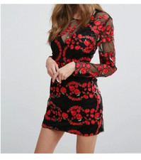 Missguided Rose Embroidered Organza Mini Dress RRP £55 (M60/3)