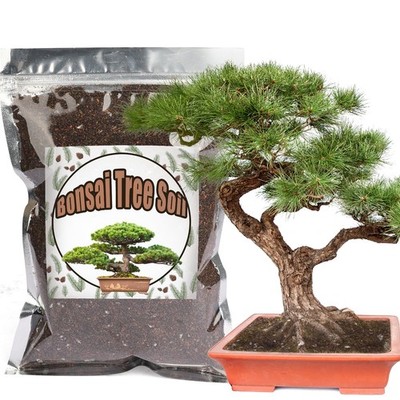 Organic Bonsai Soil Mix 4qt  Ideal for Seedlings, Repotting, and Starter Kits