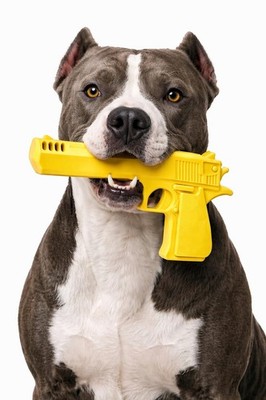 Durable Nylon Dog Chew Toy for Medium & Large Dogs Tough Chew Toy for Aggress...