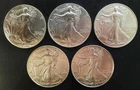 Lot of 5 - $1 American Silver Eagle 1 oz each BU