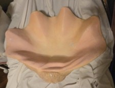 Giant Clam Shell Newborn Baby Photography Prop 30"